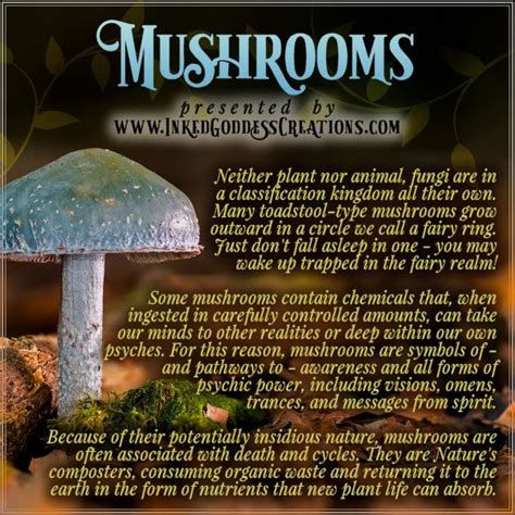 Occult spell mushroom